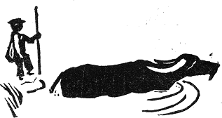 momche_i_bivol_v_reka.png momche_i_bivol_v_reka.png