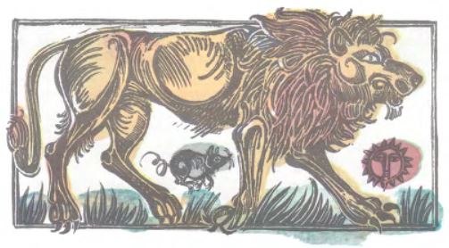 lion.jpg lion.jpg