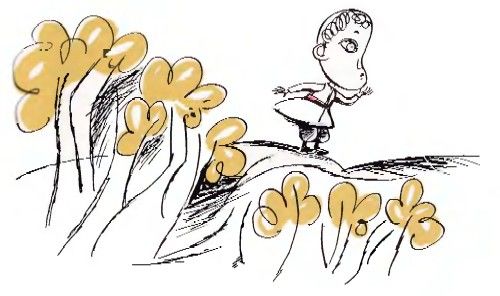 bobcheto_slamkata_i_vyglenyt_2.jpg bobcheto_slamkata_i_vyglenyt_2.jpg