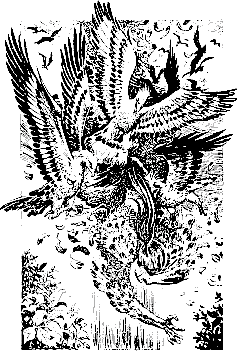 okoto_na_dyavola_39.png okoto_na_dyavola_39.png