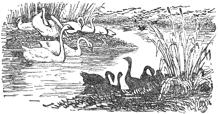 razkazi_i_prikazki_ot_ruski_pisateli_klasitsi_pic46.png razkazi_i_prikazki_ot_ruski_pisateli_klasitsi_pic46.png