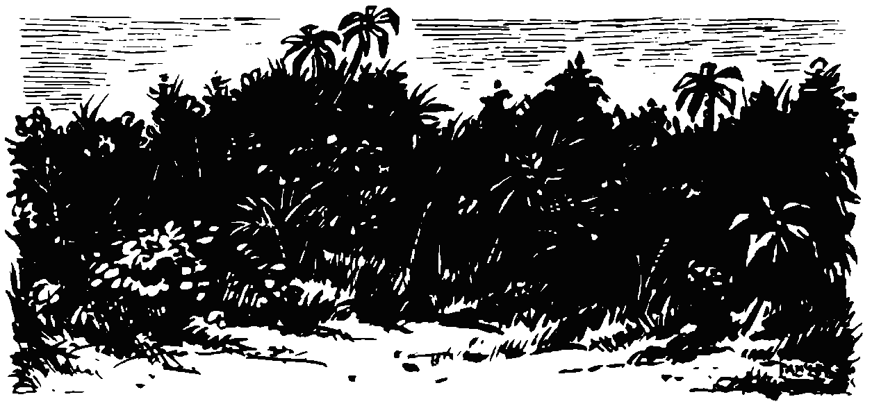 zvezdni_bojci_dr_djungla.png zvezdni_bojci_dr_djungla.png