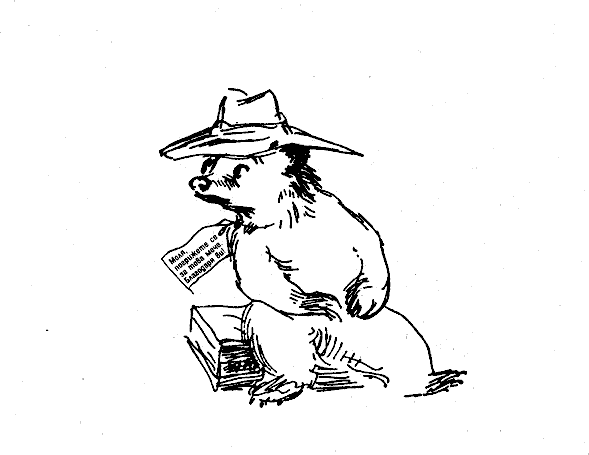mecheto_padingtyn_meche_s_belezhka.png mecheto_padingtyn_meche_s_belezhka.png