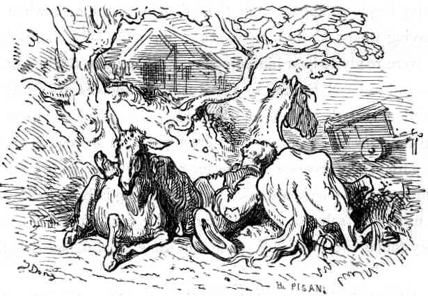 quixote_038_sancho_spi.png quixote_038_sancho_spi.png