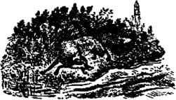 Водните патици и лисан Водните патици и лисан