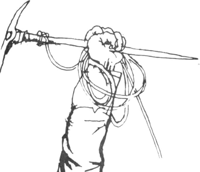 pikel.png pikel.png
