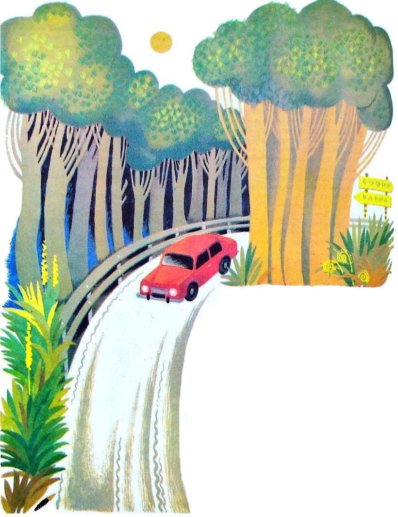 foerst_red_car.jpg foerst_red_car.jpg